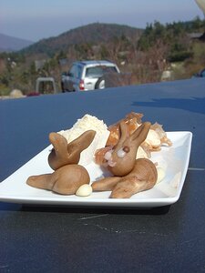 20070406_DSC02523_DSCV1